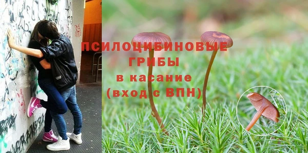 mdpv Баксан