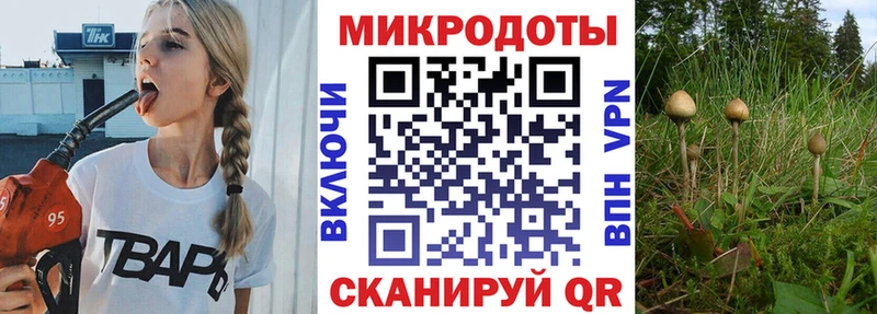 дарнет шоп  OMG сайт  Галлюциногенные грибы прущие грибы  Перевоз 